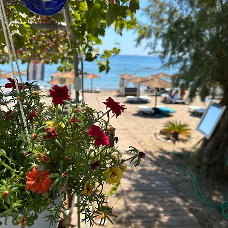 Apagkio Filoxenia Lägenhet Archangelos (Rhodes)